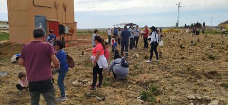 Imagen Robres reforesta el entorno de las piscinas con más de un centenar de...